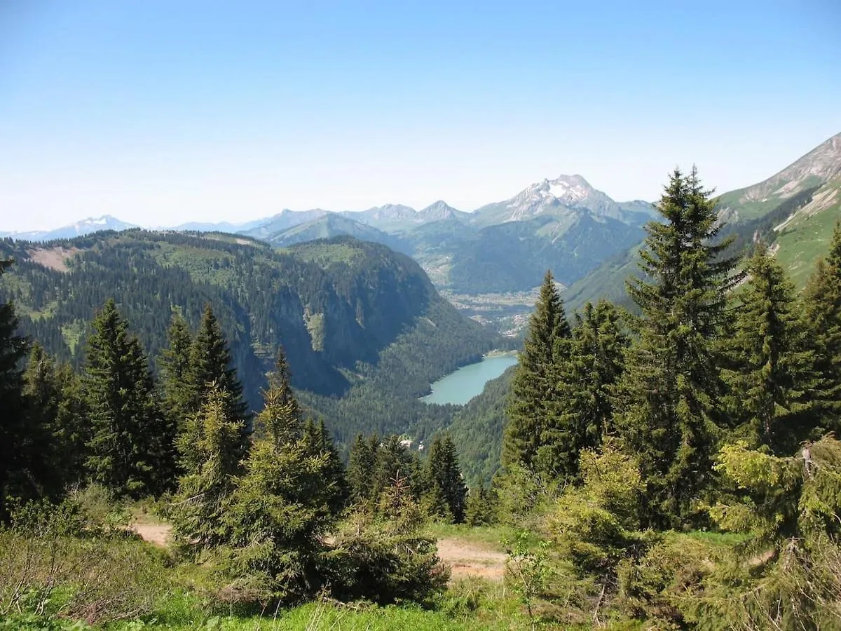 Chalet le Petit Ramoneur Châtel